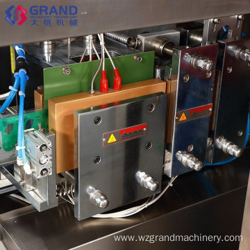 Ggs-240 P5 High Quality Filling Sealing Machine